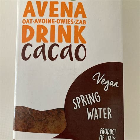 The Bridge Avena Drink Cacao Review Abillion