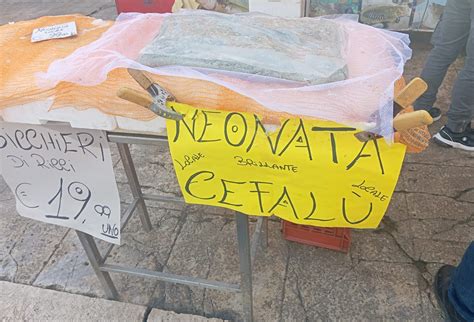 Palermo Pesce Senza Tracciabilit Maxi Sequestro E Multe Salatissime