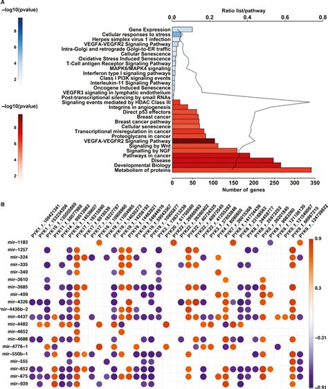 Pathways Controlled By The Common Up And Downregulated MiRNAs A Top