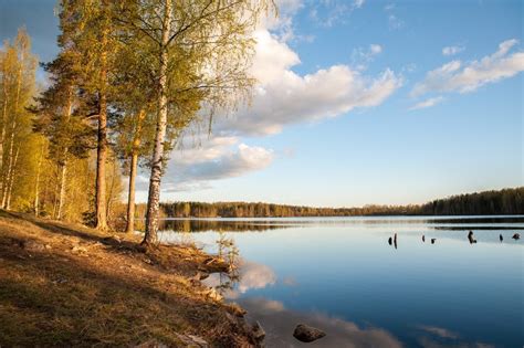 Суоярви - фото и картинки: 67 штук