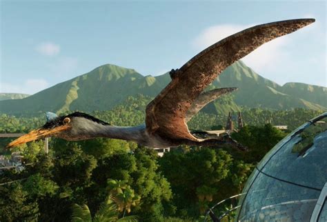 Quetzalcoatlus Is A Genus Of Flying Reptile That Originated From Late