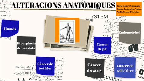 Alteracions Anat Miques By N Dia C Scar Peleteiro On Prezi