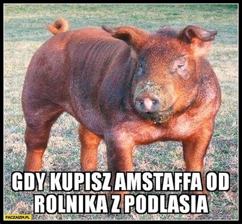 Nowe Najg Upsze Memy O Wsi I Rolnikach Z Podlasia Znowu Si Miej