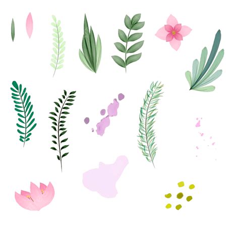 Conjunto De Flores Y Hojas De Acuarela Vectoriales Dibujadas A Mano Png Dibujos Natural