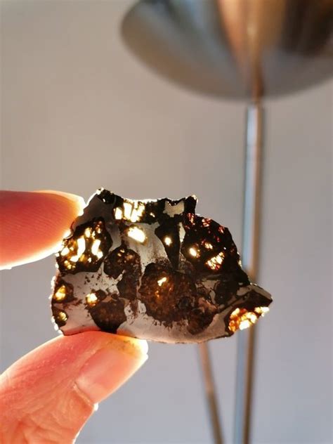 RNF 2957 Météorite Pallasite très rare 42301 5 mm 6 8 Catawiki