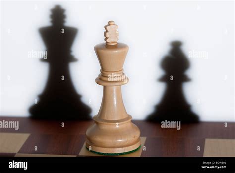 Chess Piece A White King On A Chessboard Shadows From Other Chess