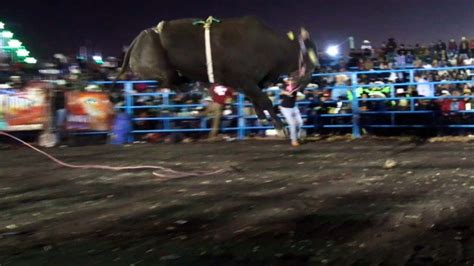 JARIPEO EN SANTA ANA MAYA MICHOACAN 18 DE FEBRERO 2024 LAS