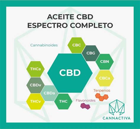 Benefits Of Full Spectrum Cbd Oil Cannactiva