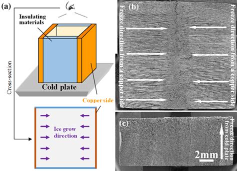 Cross Section Of Porous Ceramics Fabricated By Directional