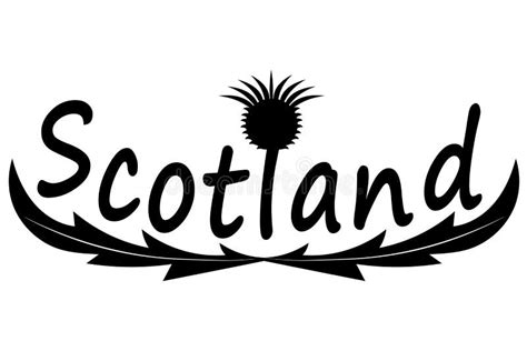 Scottish Thistle .Symbol Of Scotland Stock Vector - Illustration of ...