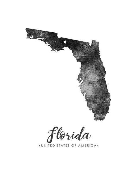 Florida State Map Art - Grunge Silhouette Mixed Media by Studio Grafiikka