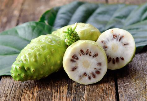 Morinda 이미지 – 찾아보기 3,334 스톡 사진, 벡터 및 비디오 | Adobe Stock