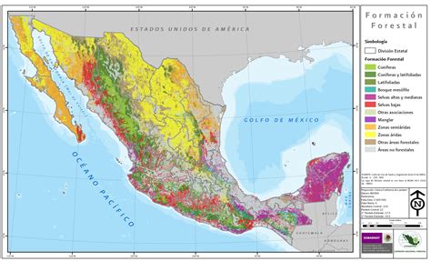 Principales Indicadores Forestales Ciclo 2004 2009 Sistema Nacional