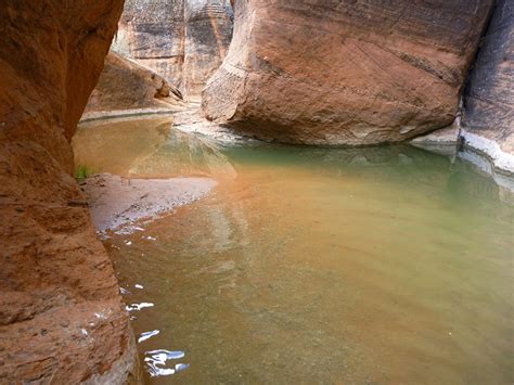 Shallow Pool Red Cliffs Recreation Area Utah