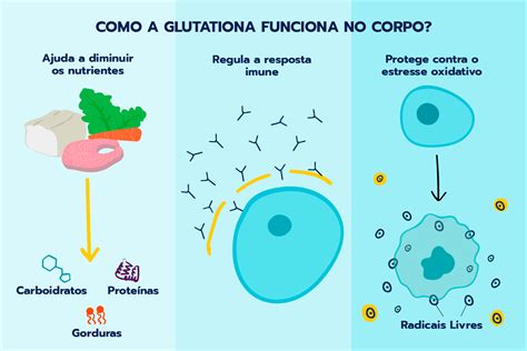 Saiba Tudo Sobre O Antioxidante Mais Poderoso Do Organismo