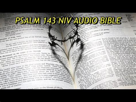 PSALM 143 NIV AUDIO BIBLE With Text YouTube