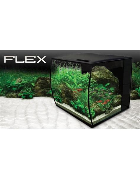 Fluval Fluval Flex 32 5G Tank Kit Noah S Ark