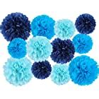 Livder Paper Flowers Bright Colorful Tissue Paper Pom Poms For Party