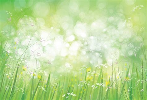 Vector Summer Green Nature Background Stock Illustration Download