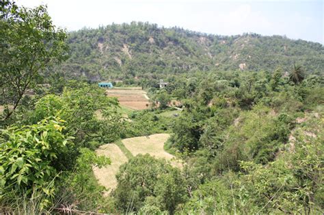 Kalesar National Park Yamuna Nagar Yamunanagar Zoo And Wildlife