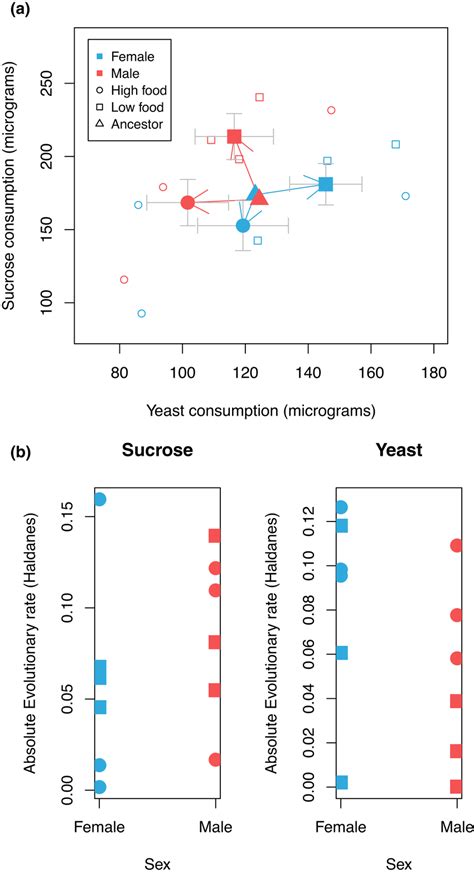 Evolution Of Sexual Dimorphism Occurred Via Divergence In Both Male And