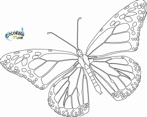 Realistic Butterfly Coloring Pages at GetDrawings | Free download