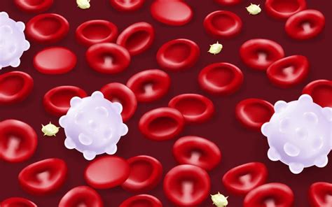 Understanding Major Beta Thalassemia: Causes, Symptoms.