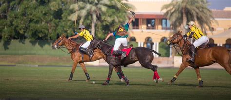 Dubai Polo And Equestrian Club Location Contact And More Mybayut