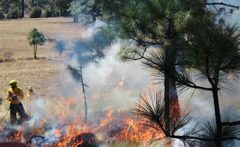 Reportan Más De 35 Municipios Afectados Por Incendios En Yucatán