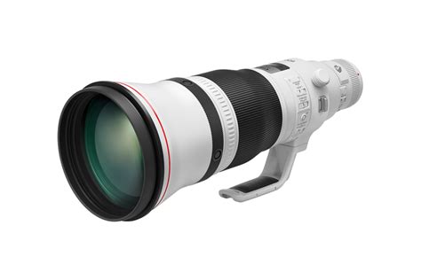 Top 5 Best Canon Lenses For Wildlife Photography | Lens Evaluator