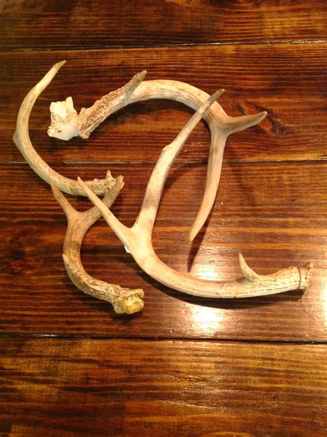 Dots And Details Diy Deer Antler Decor