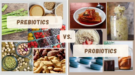 Prebiotics versus Probiotics: Is One Better Than the Other? - Simply Radiant Living