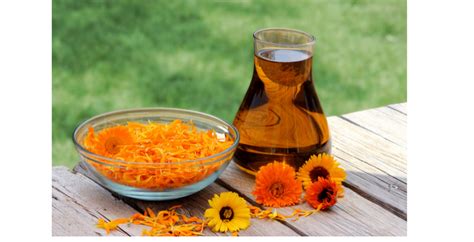 12 Best Carrier Oils For Eczema And Psoriasis. - Crafty Herbal