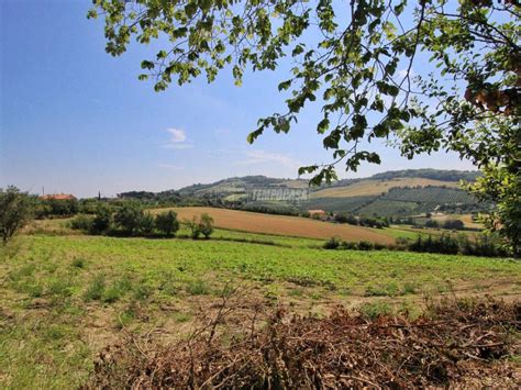 Terreno Agricolo Via Del Carmine Ancona Rif Immobiliare It