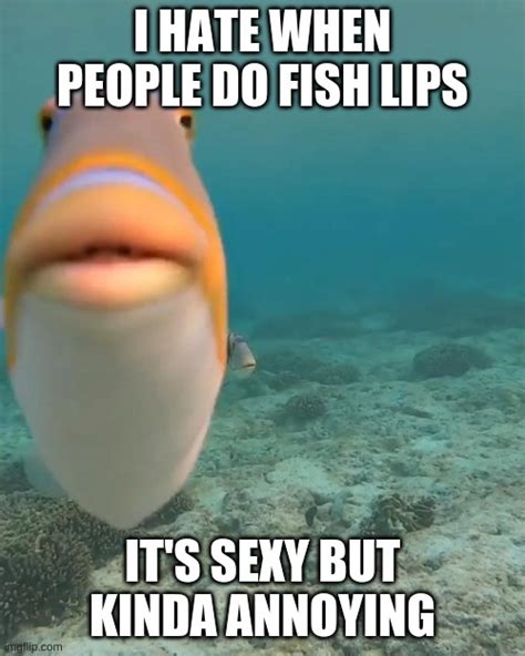 Fish With Lips Meme Lipstutorial Org