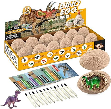 Morkka Oeufs De Dinosaure Kit De Fouille Pack D Couvrez Dinos