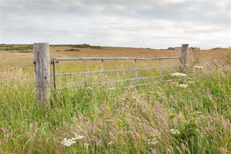 Metal Field Gate in a Meadow Stock Photo - Image of open, galvanised: 32826240