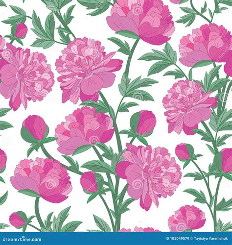 Peonies Pattern Vector Seamless Texture Stock Illustration