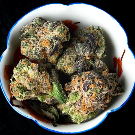 Purple Sherbet In A Bowl 2 Ifight Cats Flickr