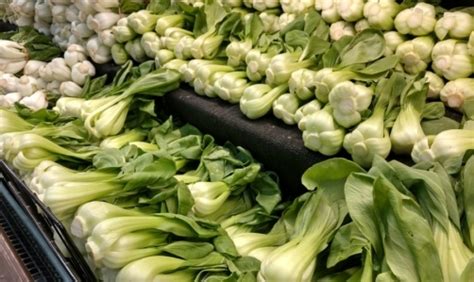 Pak choi proprietà benefiche e usi in cucina del cavolo cinese