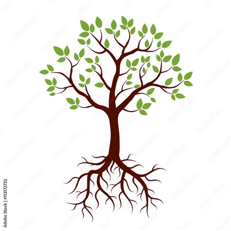 Vettoriale Stock Shape Of Tree Roots And Green Leafs Vector