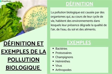 Pollution Biologique D Finition Types Et Exemples