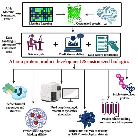 AI Can Contribute To Protein Development And Customized Biologics By