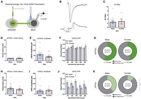 Periaqueductal Graydorsal Raphe Dopamine Neurons Contribute To Sex