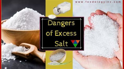 Why Is Too Much Salt Bad For You Foodology Inc Salt Too Much