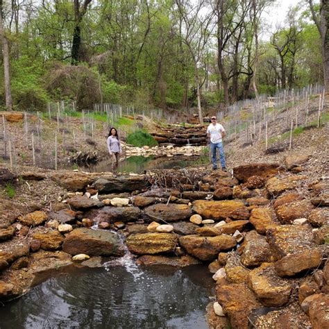 Branch Avenue Stream Restoration Design Build Straughan Environmental Inc