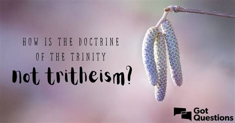 How is the doctrine of the Trinity not tritheism? | GotQuestions.org