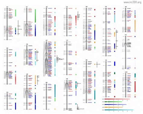 Figure From Genetic Linkage Mapping Of Arabidopsis Lipid Related