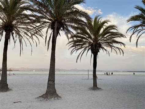 Strand Alcudia Garden Aparthotel Alcudia Holidaycheck Mallorca