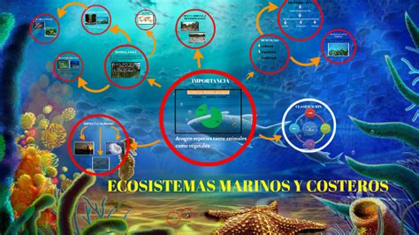 Ecosistemas Marinos y Costeros by Yuly Paola León Sanchez on Prezi